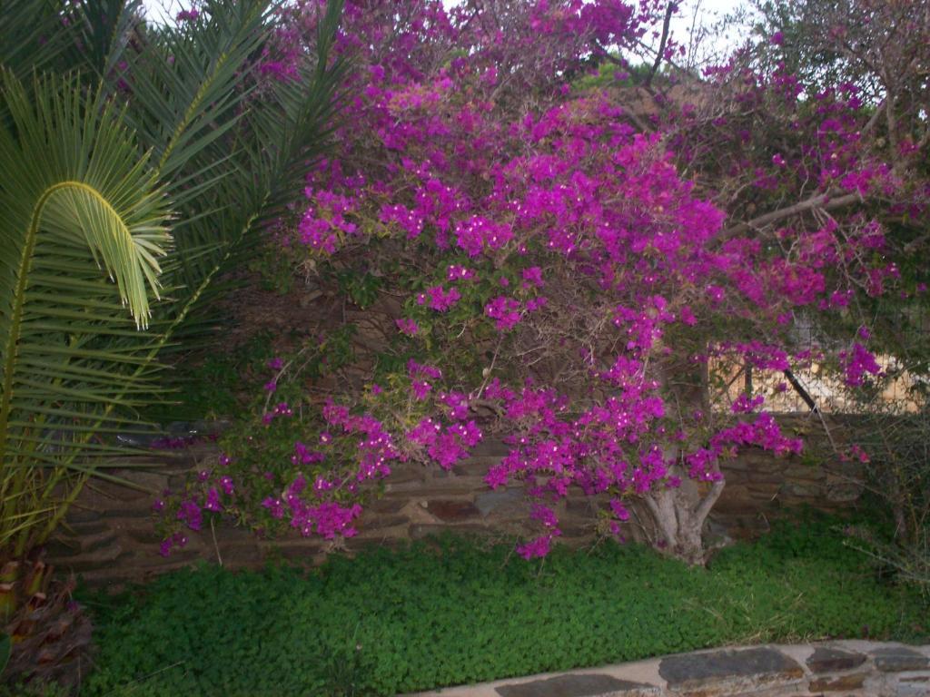 La Dea Madre Bed & Breakfast *
